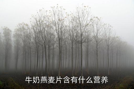 牛奶燕麥片含有什么營養