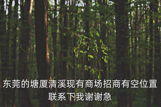 東莞的塘廈清溪現有商場招商有空位置聯系下我謝謝急
