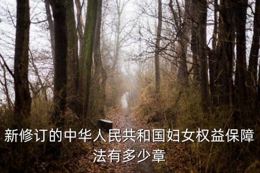 上海市婦女保護白皮書，12 jan 2010 csw 什么意思