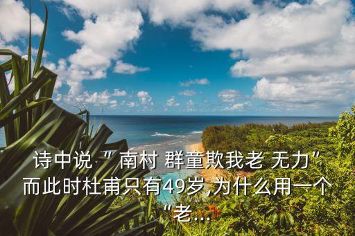 詩中說“ 南村 群童欺我老 無力”而此時杜甫只有49歲,為什么用一個“老...