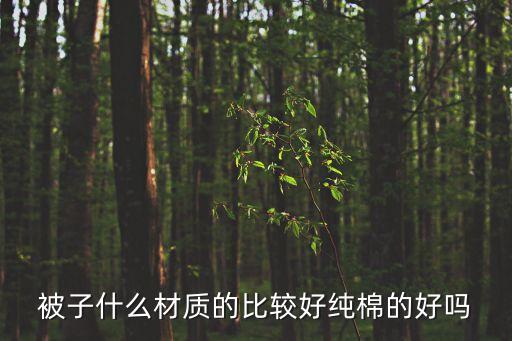 被子什么材質(zhì)的比較好純棉的好嗎