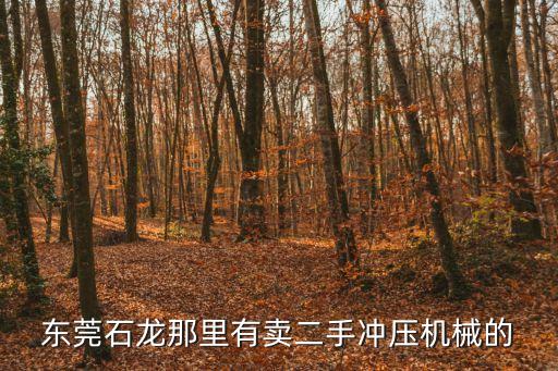 東莞二手沖擊夯，東莞石龍那里有賣二手沖壓機(jī)械的