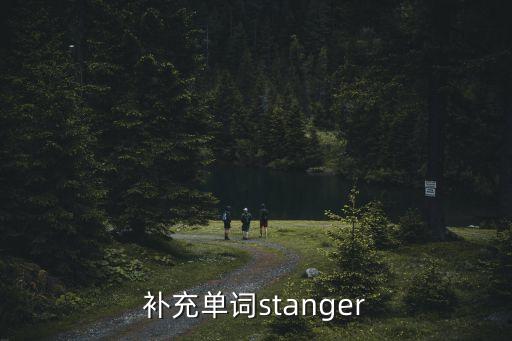 補充英文，解釋補充的英文縮寫有哪些