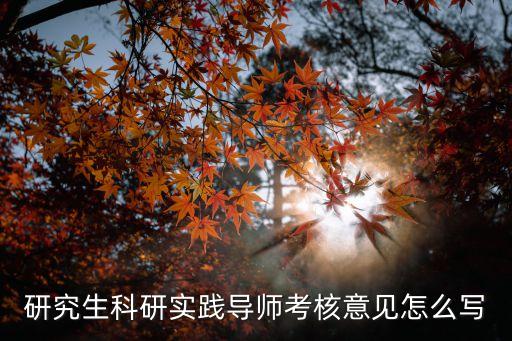 研究生科研實踐導師考核意見怎么寫