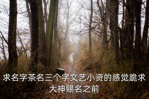 求名字茶名三個字文藝小資的感覺跪求大神賜名之前