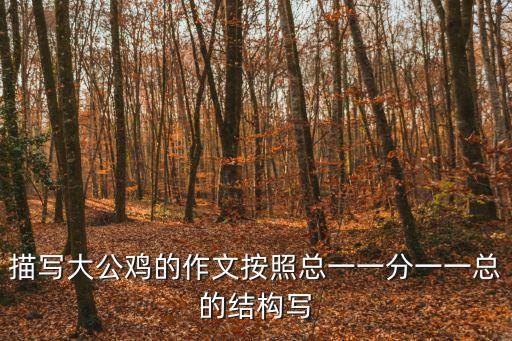 大公雞作文，大公雞睡覺的樣子作文五十字