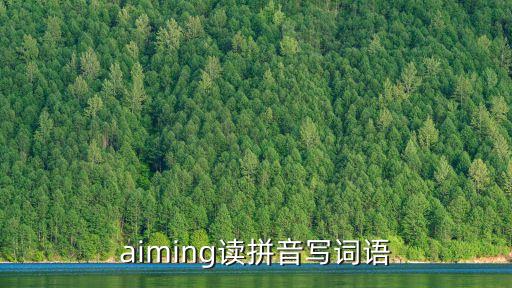 aiming讀拼音寫詞語
