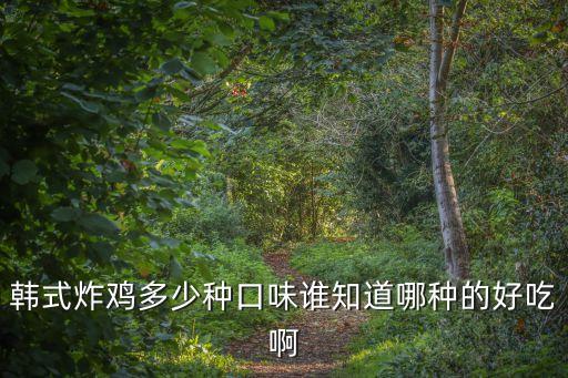 韓式炸雞多少種口味誰知道哪種的好吃啊
