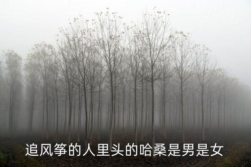 追風(fēng)箏的人里頭的哈桑是男是女