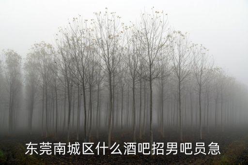 東莞南城區什么酒吧招男吧員急