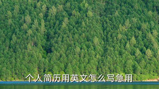 個人簡歷用英文怎么寫急用