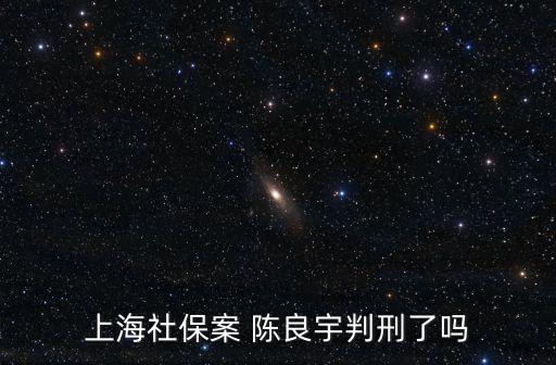 近年來上海市詐騙醫(yī)保案有哪些，上海社保案 陳良宇判刑了嗎