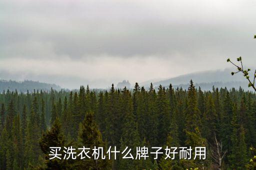 洗衣機(jī)哪個(gè)牌子好用又耐用，買(mǎi)洗衣機(jī)什么牌子好耐用