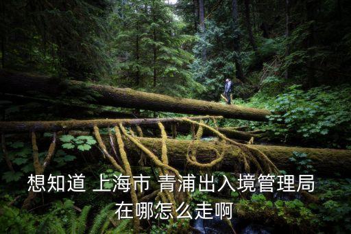 想知道 上海市 青浦出入境管理局 在哪怎么走啊