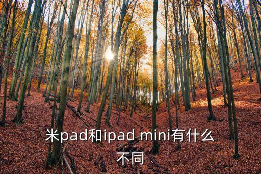 米pad和ipad mini有什么不同