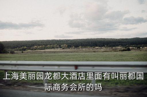 上海美麗園龍都大酒店里面有叫麗都國際商務會所的嗎
