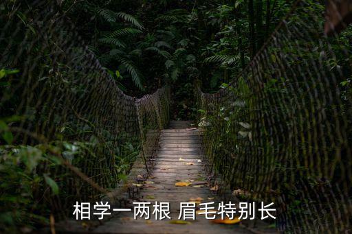 眉毛長(zhǎng),你的眉毛是否符合預(yù)兆?
