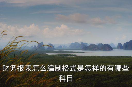 財務報表怎么編制格式是怎樣的有哪些科目