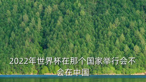 2022年世界杯在那個(gè)國(guó)家舉行會(huì)不會(huì)在中國(guó)