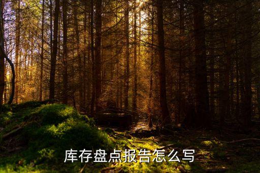 盤點報告，庫存盤點報告怎么寫