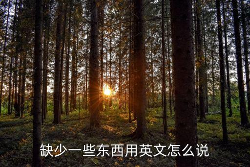 缺少英文，缺席 英文翻譯