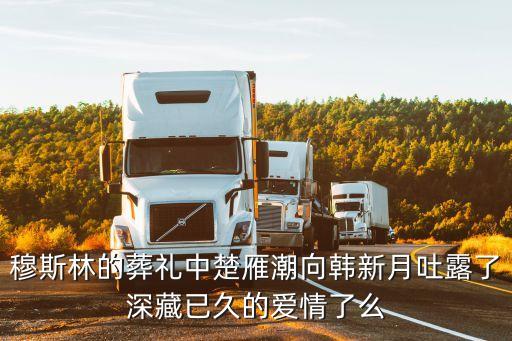 楚雁潮，穆斯林的葬禮中楚雁潮向韓新月吐露了深藏已久的愛情了么