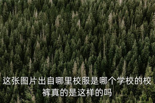 東莞東華黃元會老師，變形記這一期東莞主人公在哪個學校