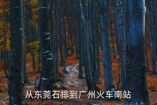 從東莞石排到廣州火車南站