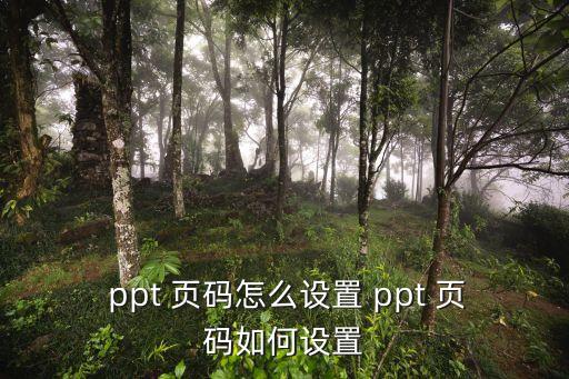 ppt頁碼,如何設置ppt頁碼?