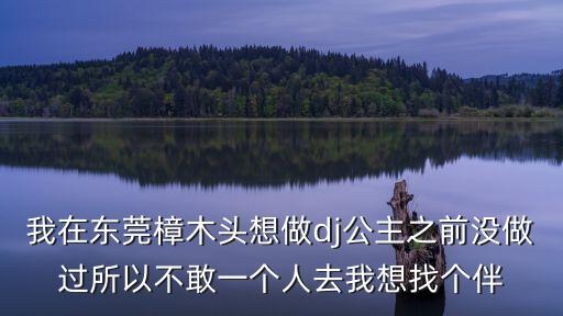 我在東莞樟木頭想做dj公主之前沒做過所以不敢一個人去我想找個伴