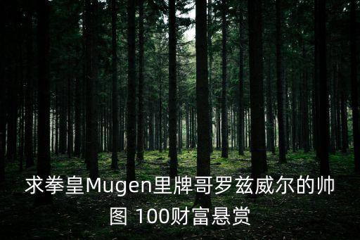 羅茲威爾，求拳皇Mugen里牌哥羅茲威爾的帥圖 100財富懸賞