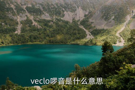 veclo啰音是什么意思