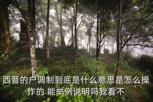 戶調制，西晉戶調制的特點