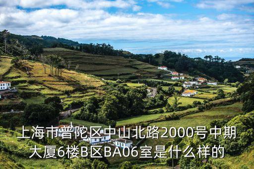 上海市普陀區(qū)中山北路2000號中期大廈6樓B區(qū)BA06室是什么樣的