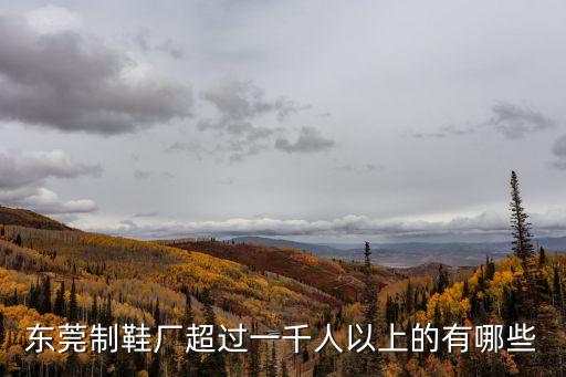 東莞制鞋廠超過一千人以上的有哪些