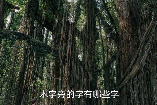 木字旁的字有哪些,植物營養器官可固定在陸地上吸收水分和養分