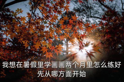 我想在暑假里學畫畫兩個月里怎么練好先從哪方面開始