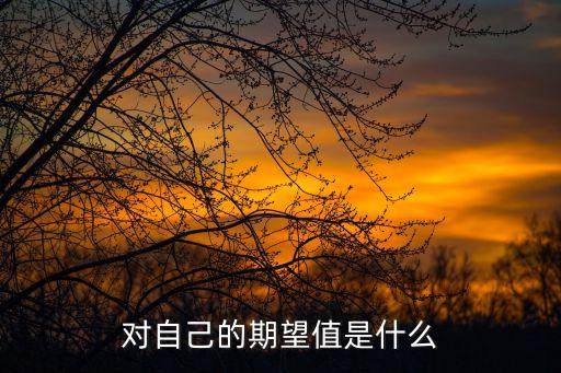 對自己的期望值是什么