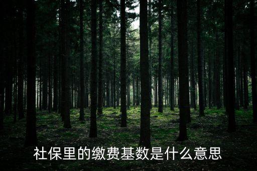 社保里的繳費基數是什么意思
