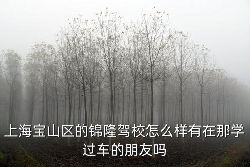 上海寶山區的錦隆駕校怎么樣有在那學過車的朋友嗎