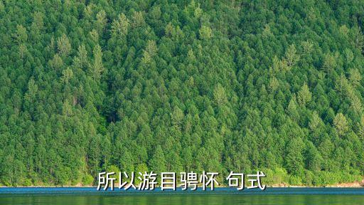 所以游目騁懷 句式