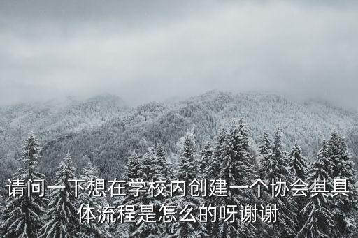 協會成立流程，請問一下想在學校內創建一個協會其具體流程是怎么的呀謝謝