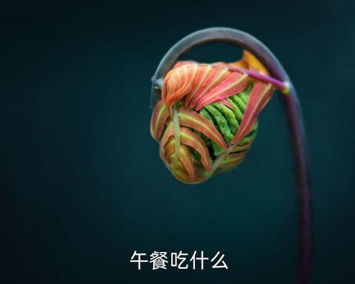  午餐吃什么