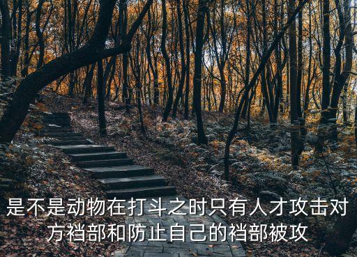 是不是動物在打斗之時只有人才攻擊對方襠部和防止自己的襠部被攻