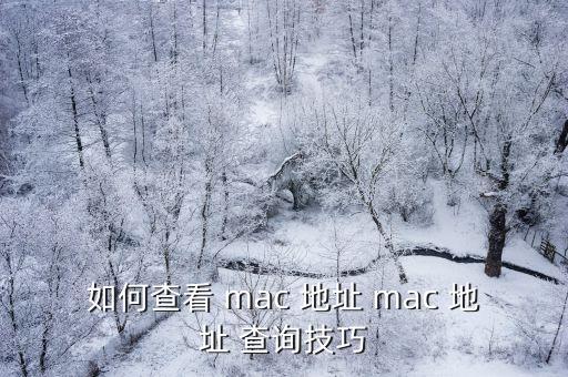 如何查看 mac 地址 mac 地址 查詢技巧