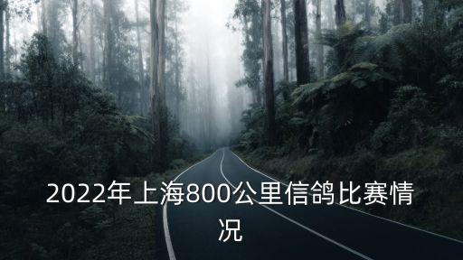 上海市信鴿協(xié)會(huì)2020鴿王，鴿子王是誰(shuí)