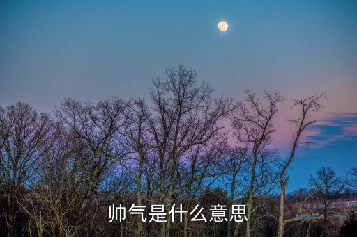 帥氣是什么意思