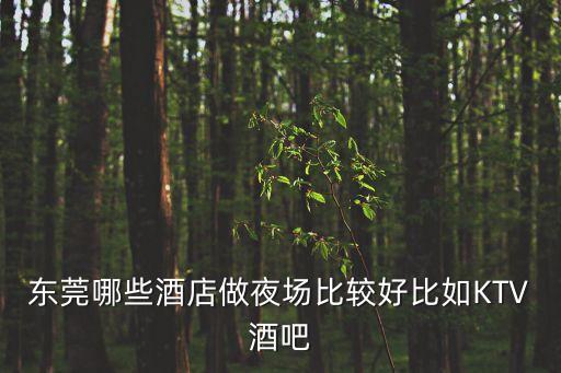 東莞哪些酒店做夜場比較好比如KTV酒吧