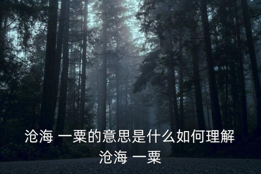 滄海一粟的意思,我們知道的知識(shí)只有滄海一粟1