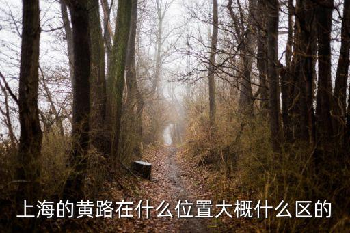 上海市南匯區(qū)黃路村，上海的黃路在什么位置大概什么區(qū)的